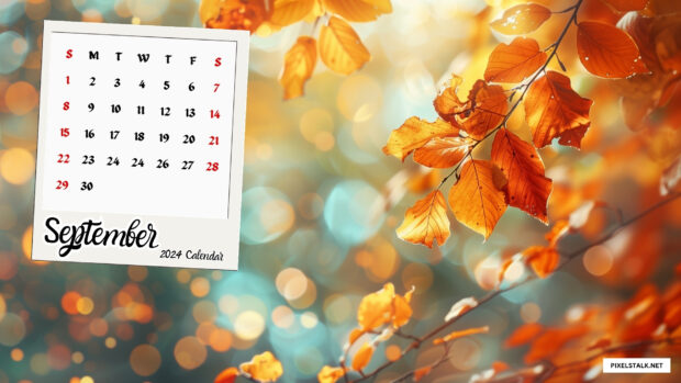 September 2024 Wallpaper Fall Leaves for Desktop.