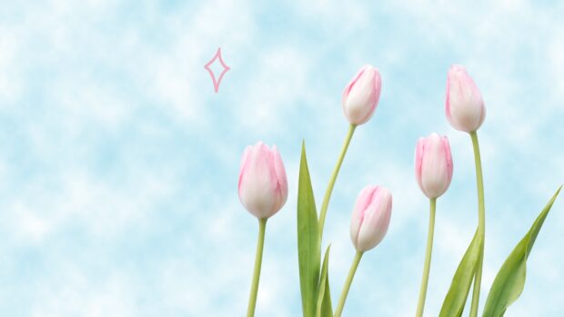 Spring Backgrounds for Windows.