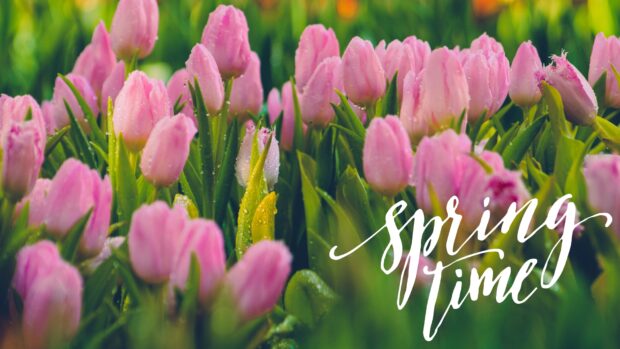 Spring Desktop Image.