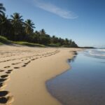Summer Wallpaper HD with a lone figure walking along the shoreline, leaving footprints in the sand