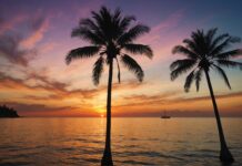 Summer sunset landscape wallpaper with silhouetted palm trees.