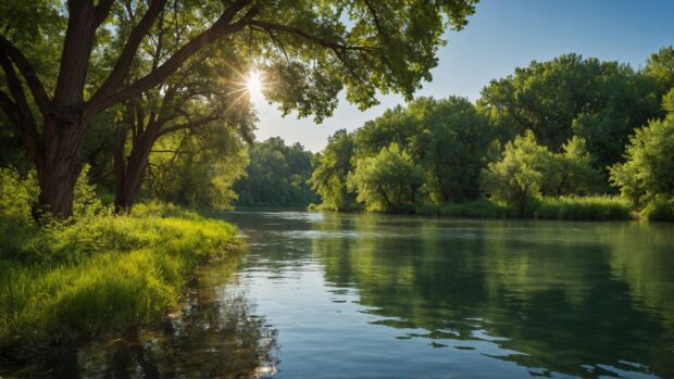 Summer wallpaper with cool river views.