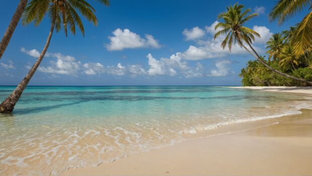 Transport yourself to a tropical paradise with our summer vibes.