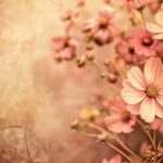 Vintage flower background HD.