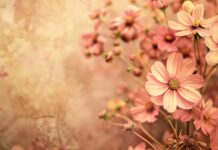 Vintage flower background HD.