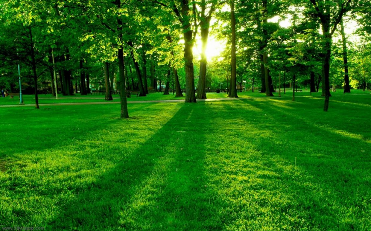 HD Fullscreen Backgrounds - PixelsTalk