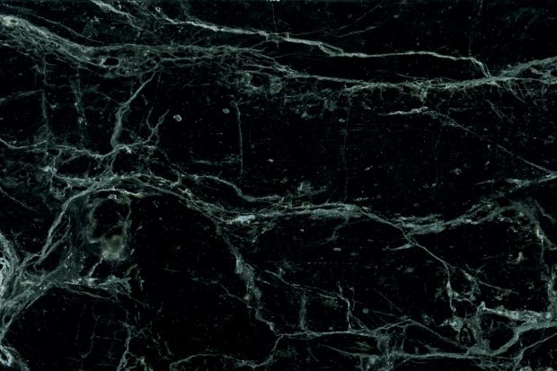 VerdeRameggiato black marble